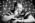 photographe geneve carouge noir et blanc homme