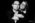 Anniversaire studio pourlesyeux 2014 couple photographe