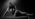 Photographe Genève suisse serpent femme noir blanc baptême découverte séance photo