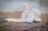 Photographe geneve chausson enceinte bebe