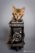 Photographe Genève - chat Bengal et ancien appareil Photo