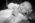 photographe genève baby bébé nourrisson famille suisse enfant nouveau né noir blanc